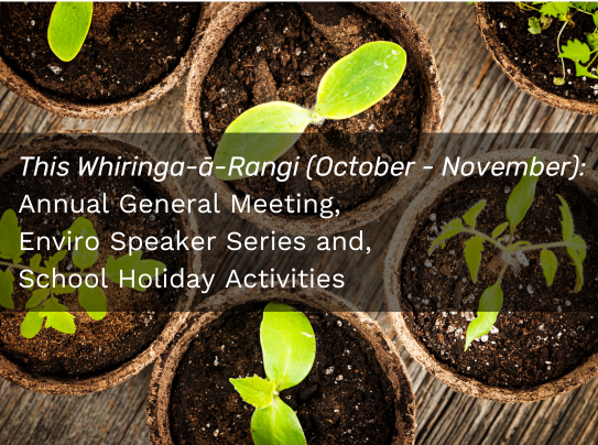 Whiringa-ā-Rangi 2023 Newsletter Highlights