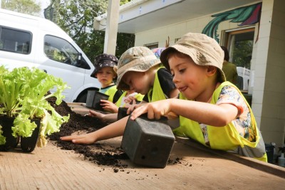 Kids planting