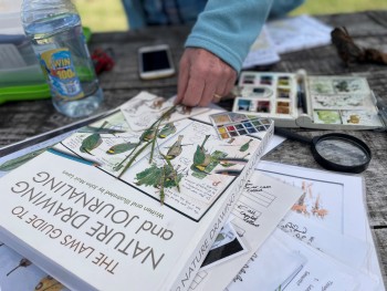 KP Nature journaling with Lesley Alexander