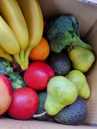 Food coop