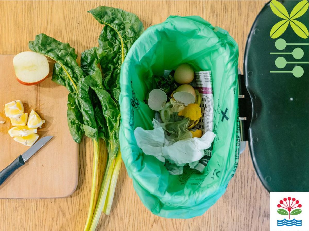 Chopping food and placing scraps in compost bin in kitchen