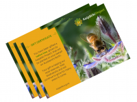 Gift certificate pack image 2