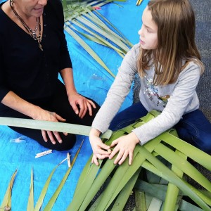 Education for Sustainability NZ - Harakeke workshop