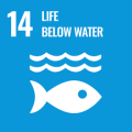 14 below water