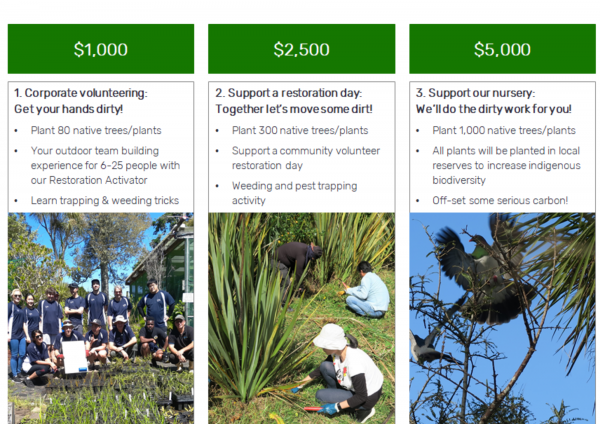 Sponsorship overview