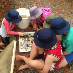 Education for Sustainability NZ 4:3