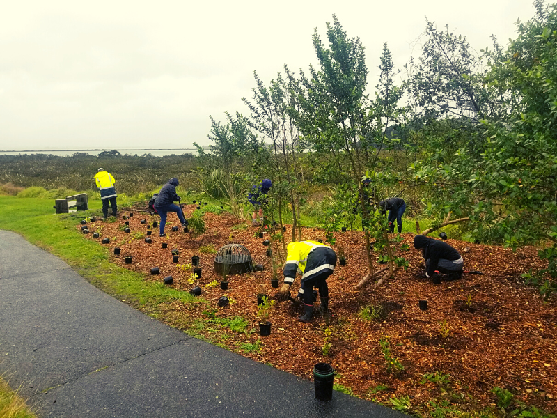 Clearwater Cove volunteering