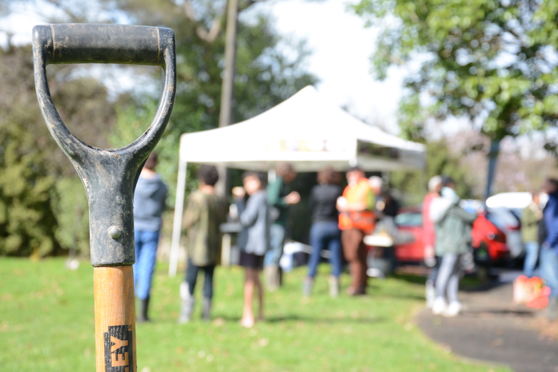 EcoFest 1