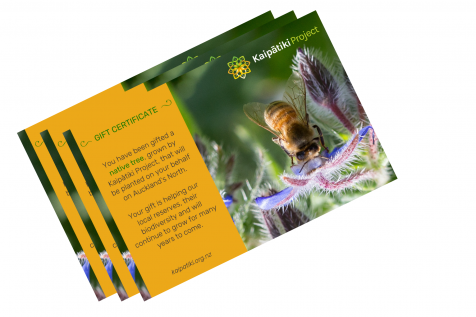 Gift a Tree Certificates