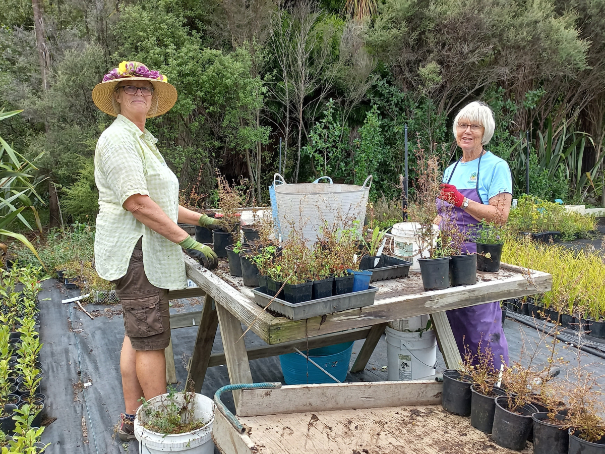 Nursery volunteers