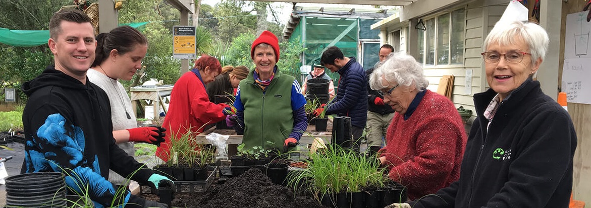 nativeplantnurseryatbirkenhead 2